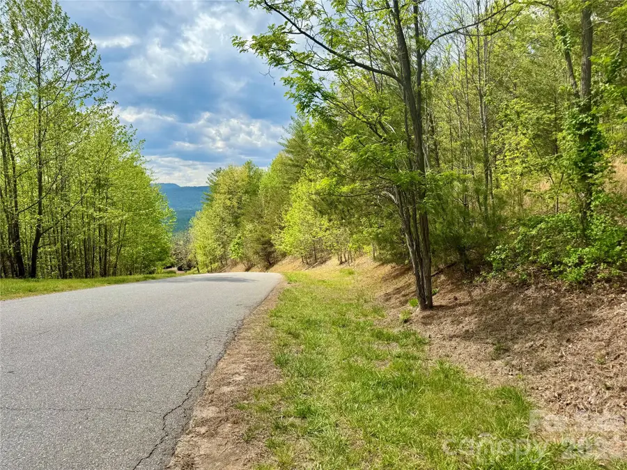 Lot 161/162 Rocky Falls Lane #161/162, Lenoir, NC 28645 - #3