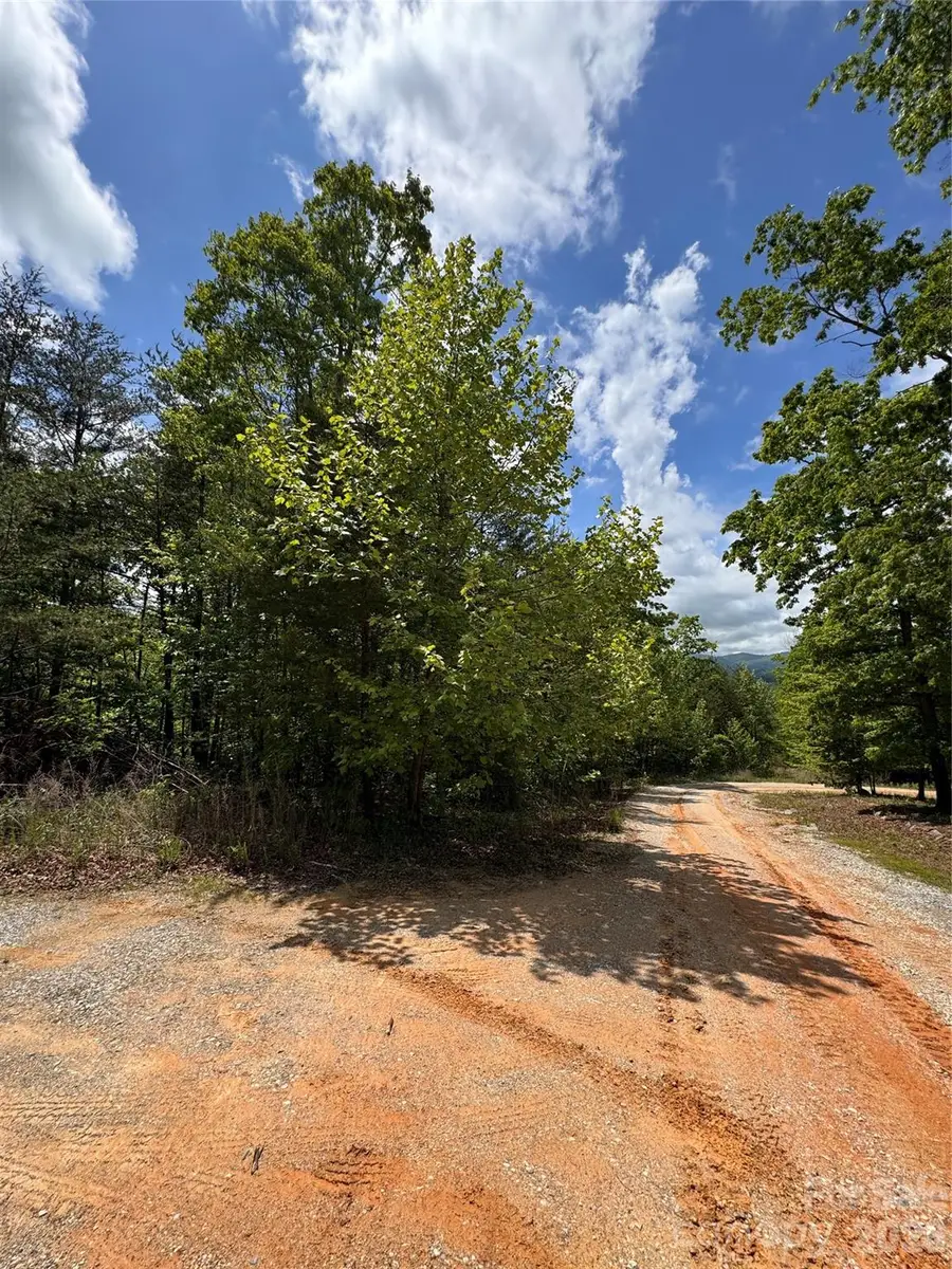 34 Montgomery Drive, Marion, NC 28752 - #3