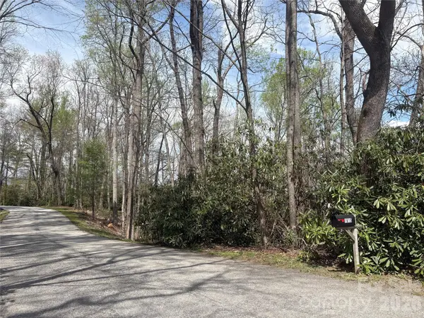 TBD Swiss Pine Lake Drive #117, Spruce Pine, NC 28777