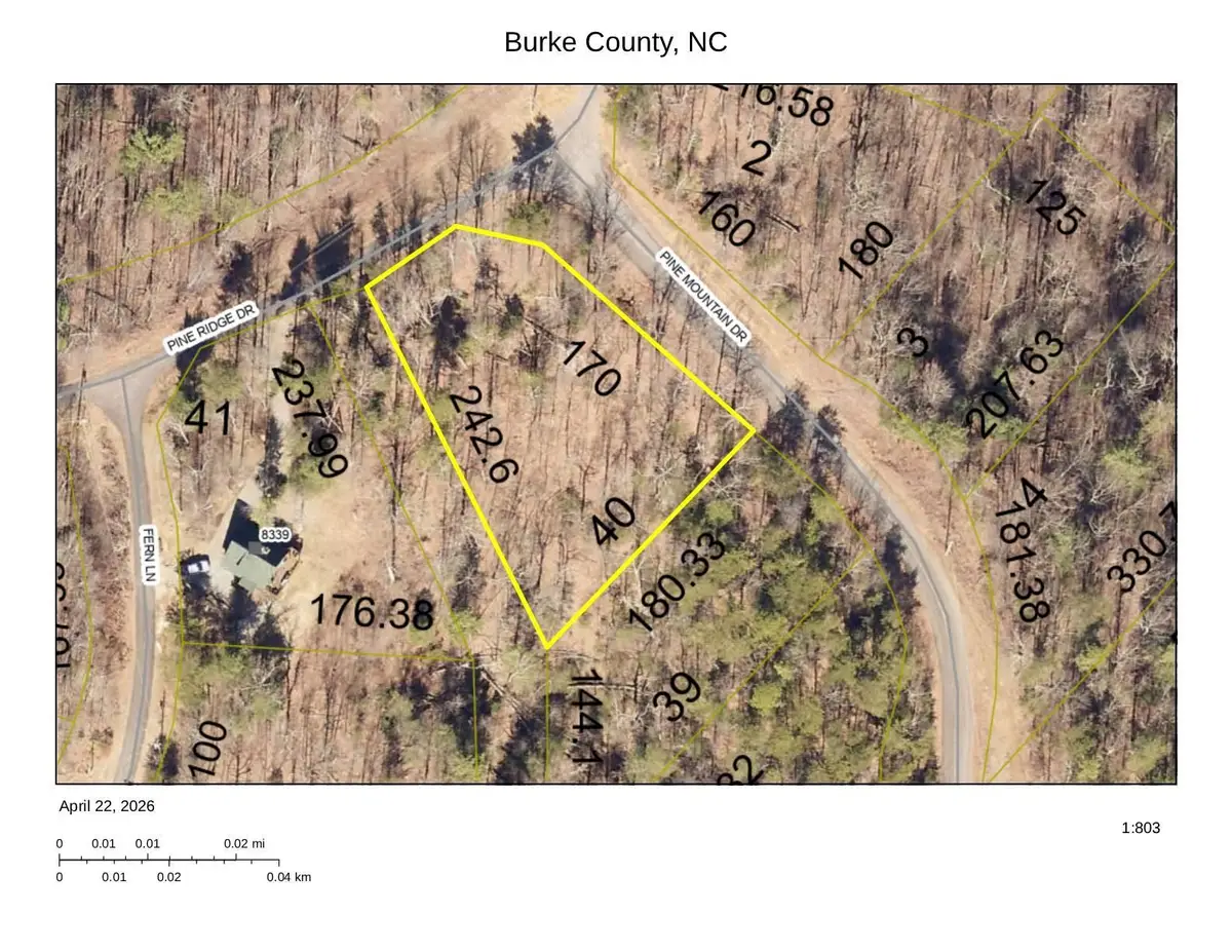 1034 Pine Mountain Drive, Connelly Springs, NC 28612 - #1