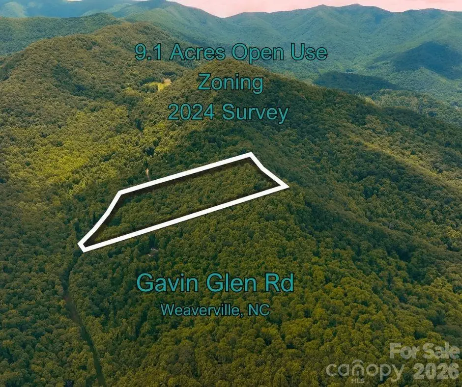 125 Gavin Glen Road, Weaverville, NC 28787 - #1