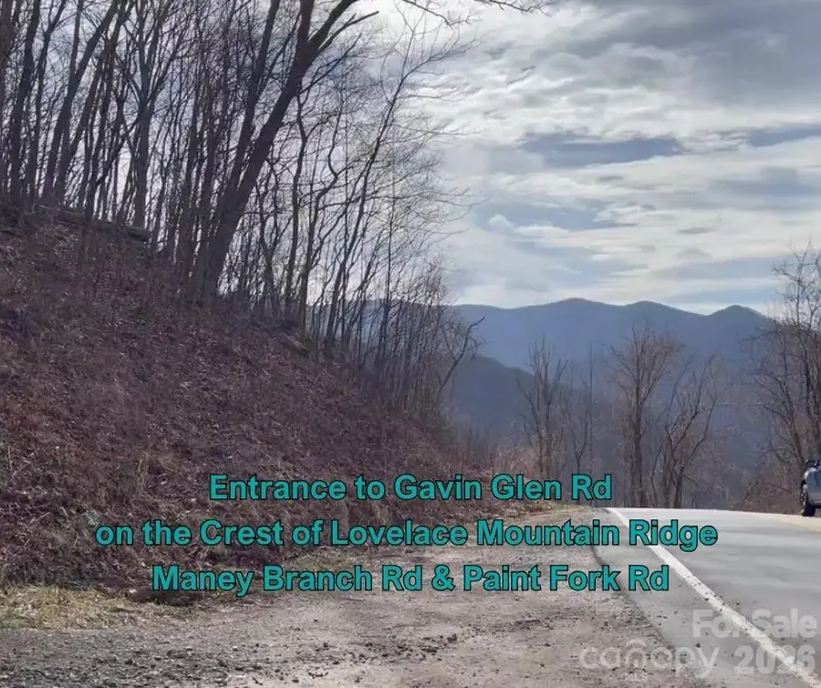 125 Gavin Glen Road, Weaverville, NC 28787 - #2