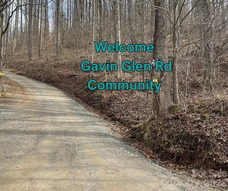 125 Gavin Glen Road, Weaverville, NC 28787 - #3