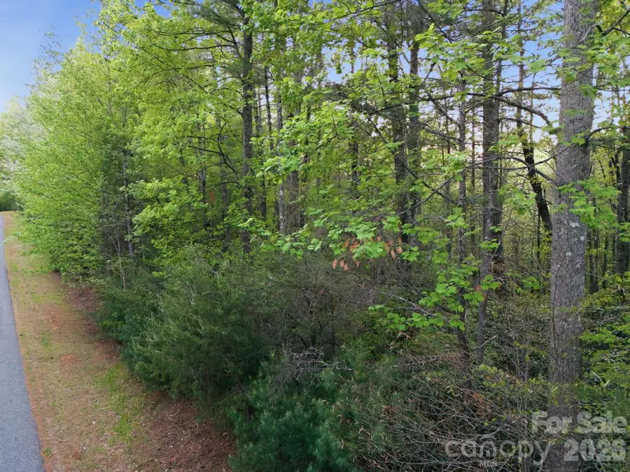 Lot 40 Larkhaven Drive, Nebo, NC 28761 - #3