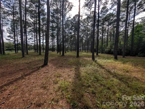 0000 Blessed Hope Road #4, York, SC 29745