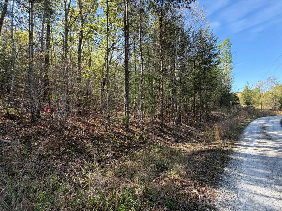 0 Running Cedar Trail, Morganton, NC 28655 - #3