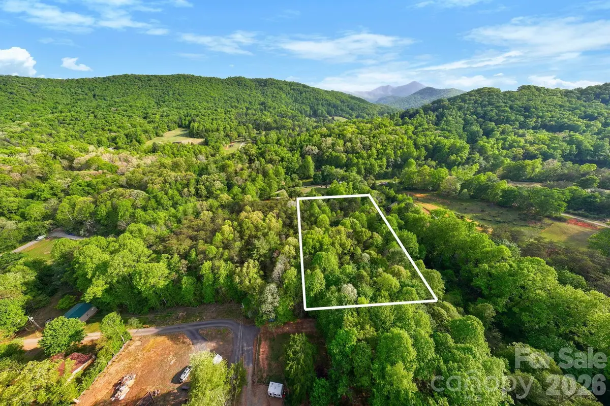 99999 Elana Chase Drive, Candler, NC 28715 - #1