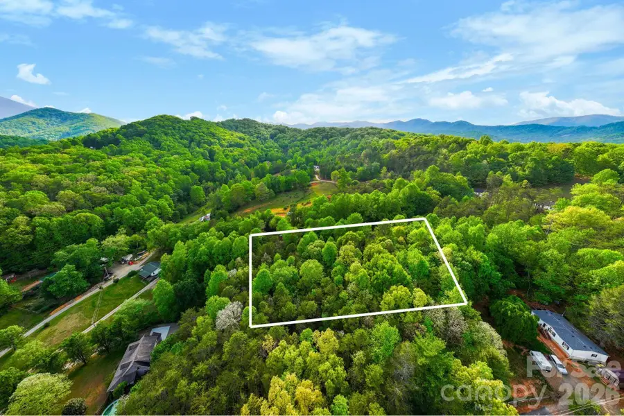 99999 Elana Chase Drive, Candler, NC 28715 - #3
