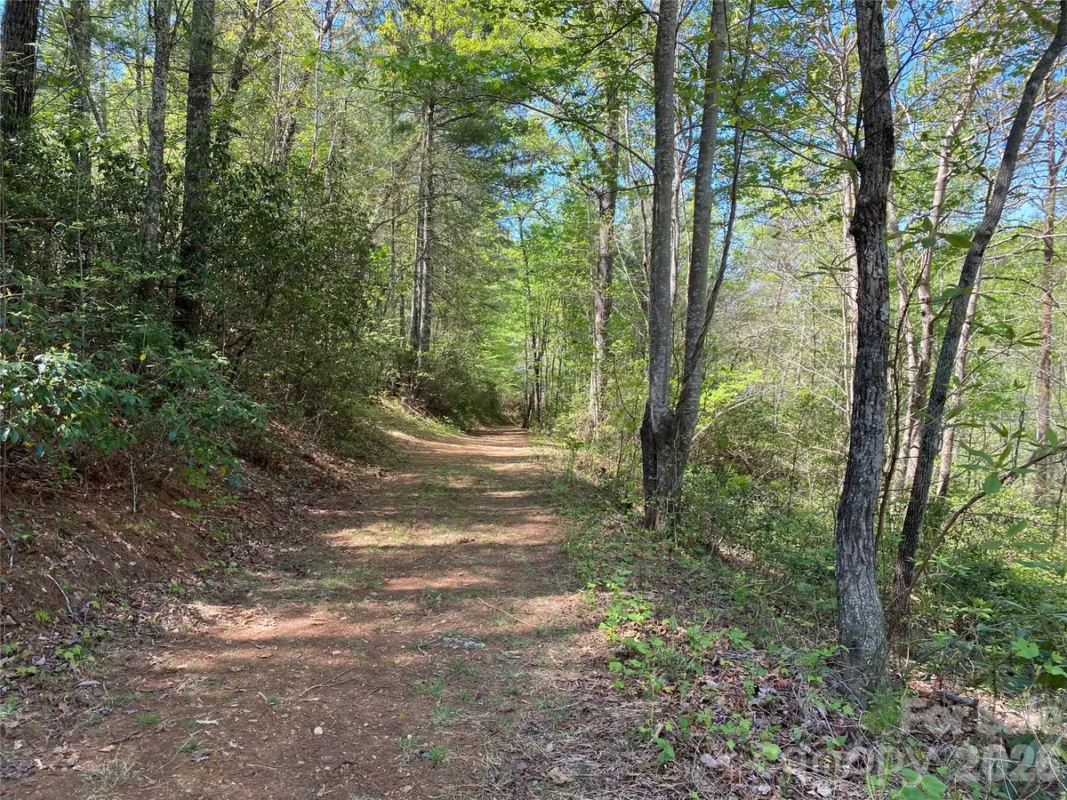 266 Mountain Creek Way, Marion, NC 28752 - #1