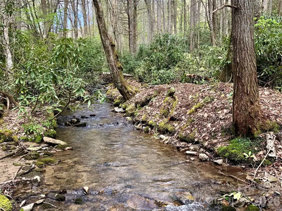 2811 Poplar Creek Road, Green Mountain, NC 28740 - #2