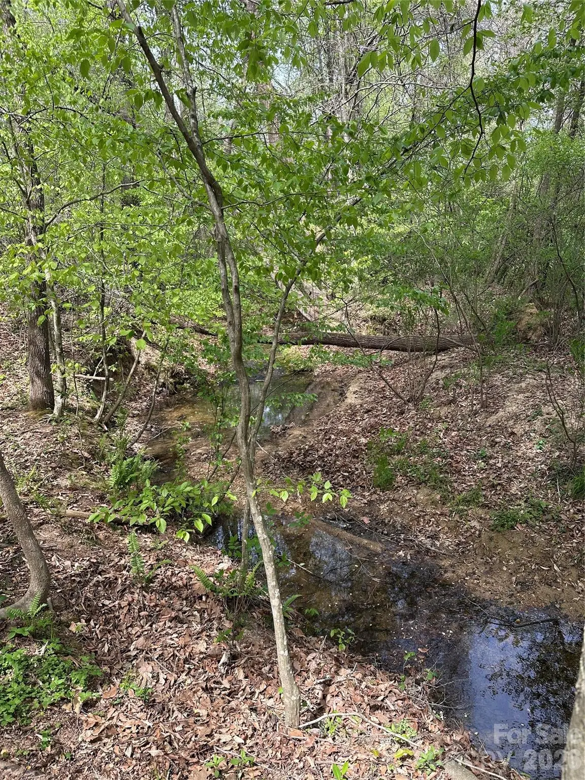 0 Will Boone Road, Mocksville, NC 27028 - #1