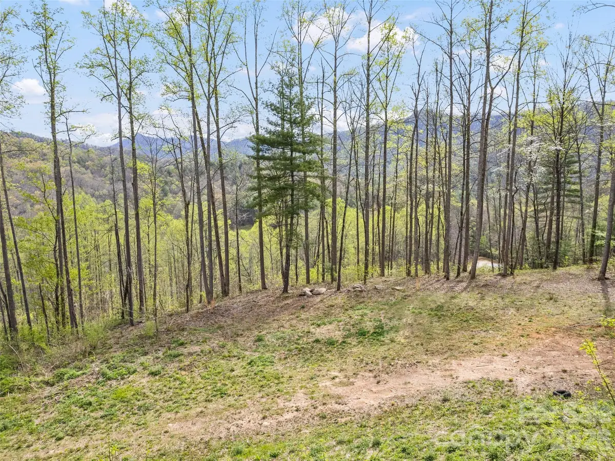 00 Willow Lane, Cheoah, NC 28711 - #1