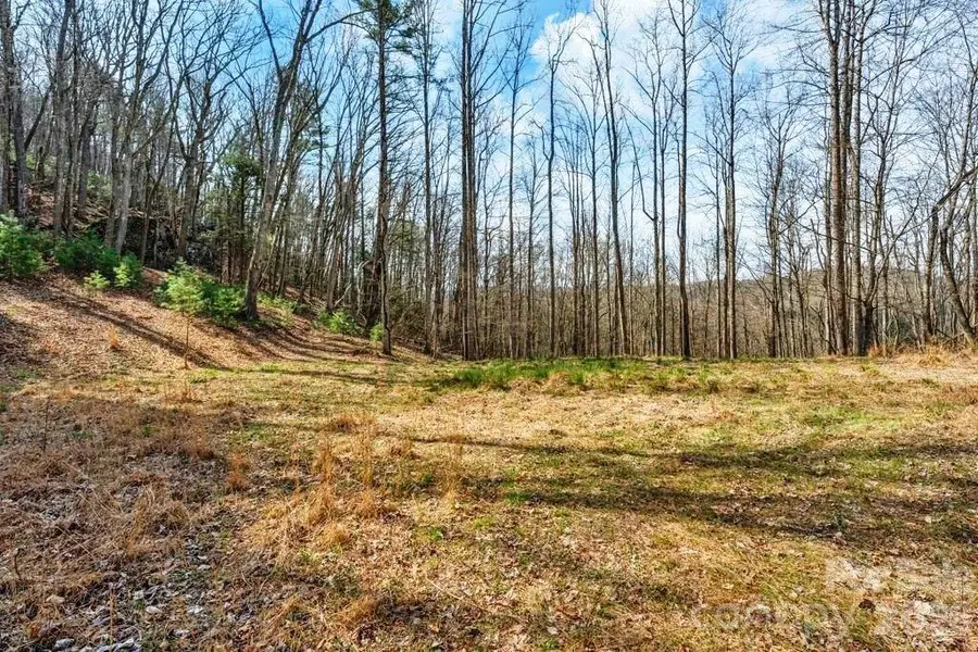 tbd Denney Wood Road, Sugar Grove, NC 28679 - #3