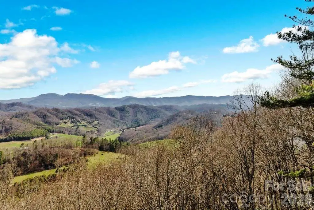 tbd Rominger Road, Sugar Grove, NC 28679 - #1