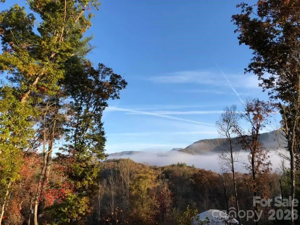 266 Egret Lane, Sylva, NC 28779 - #1