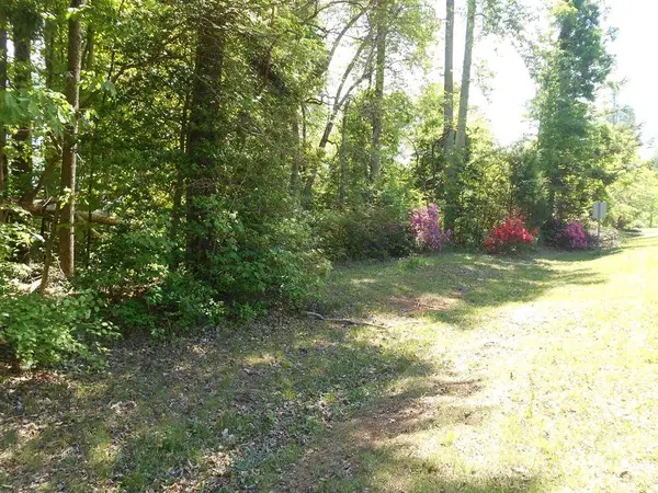 1 Tin Mine Road #1, Lincolnton, NC 28092