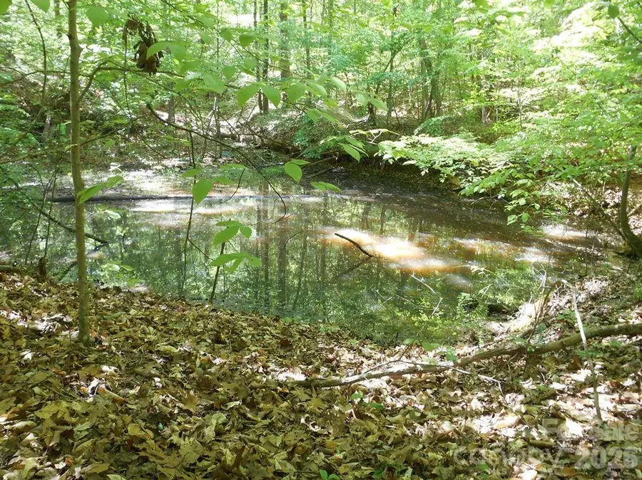 1 Tin Mine Road #1, Lincolnton, NC 28092 - #2
