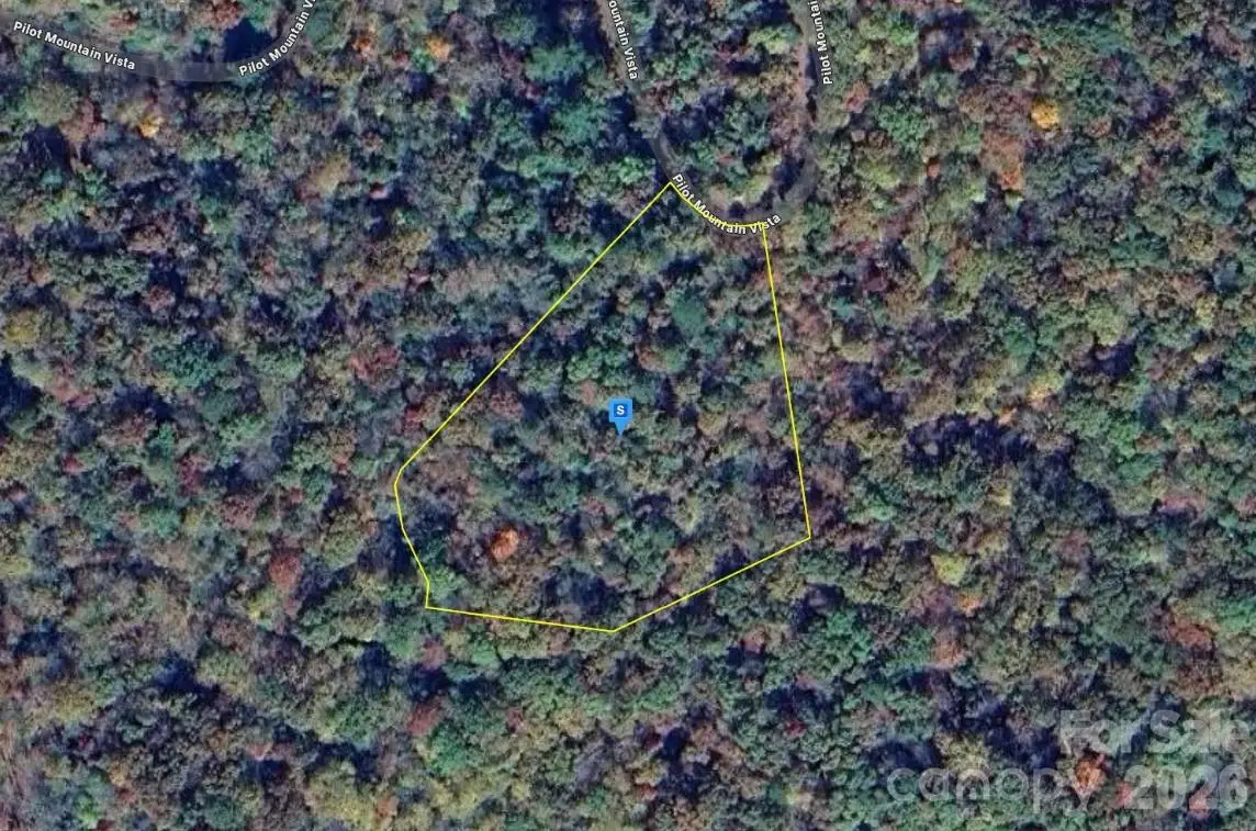 111 Pilot Mountain Vista, Cullowhee, NC 28723 - #1