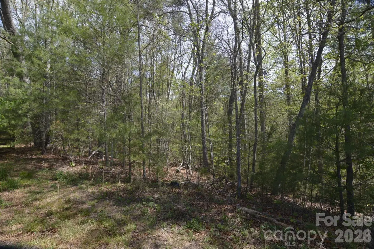 00 Garnet Drive, Leicester, NC 28748 - #1