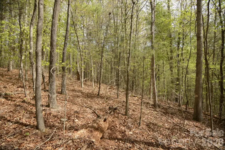00 Garnet Drive, Leicester, NC 28748 - #2