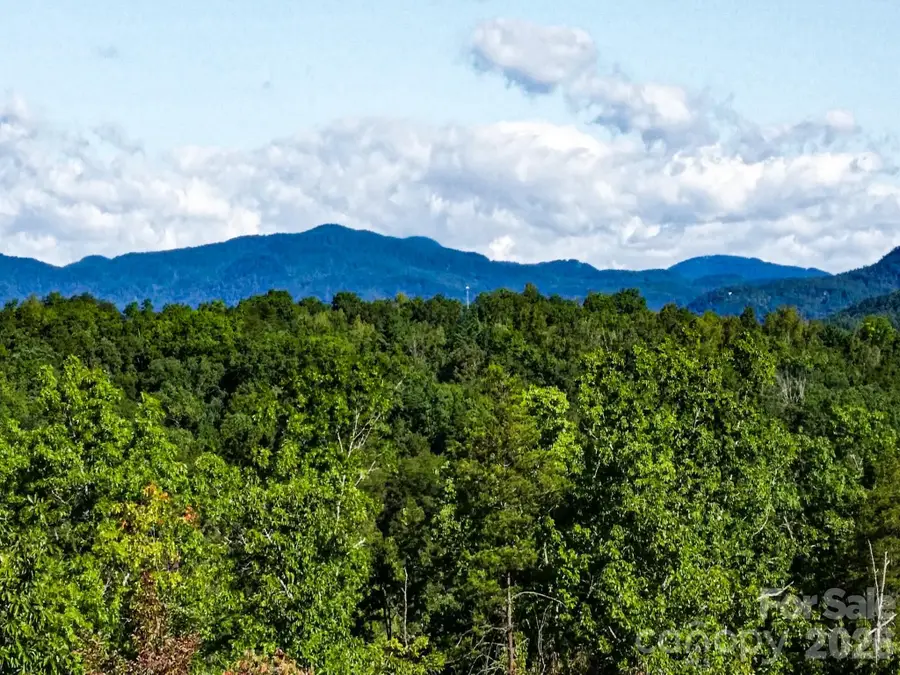 111 Arabesque Way, Lake Lure, NC 28746 - #3