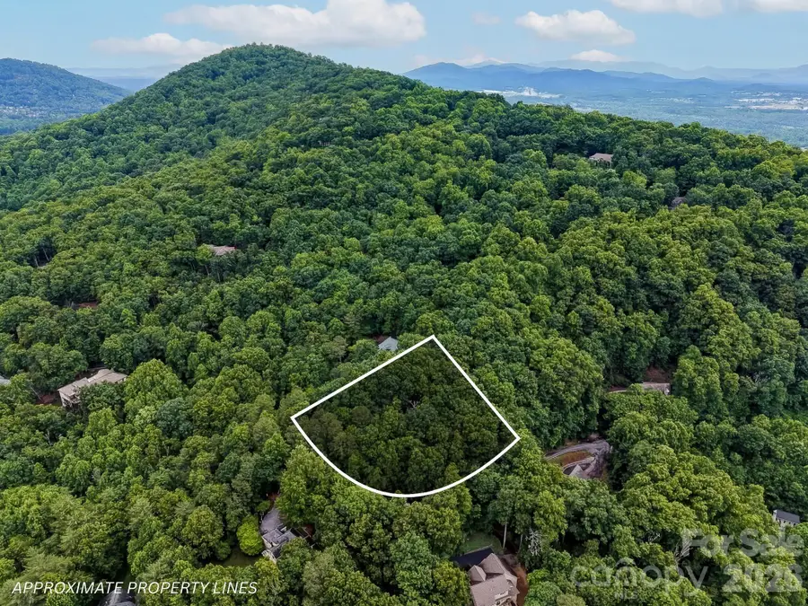 50 Cedar Drive #274, Mills River, NC 28759 - #2