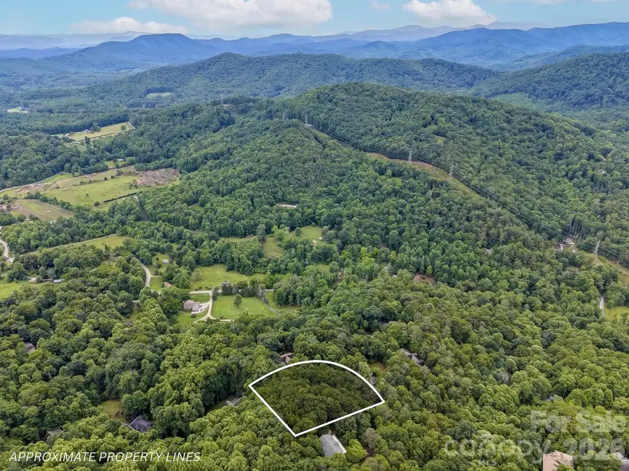 50 Cedar Drive #274, Mills River, NC 28759 - #3
