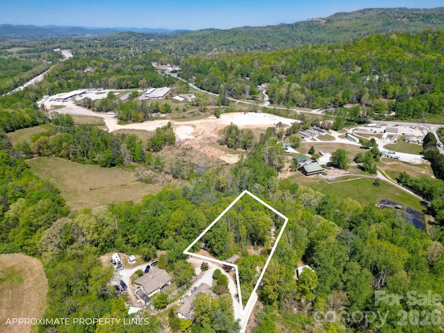 99999 Hicks Mountain Road, Hendersonville, NC 28792 - #3