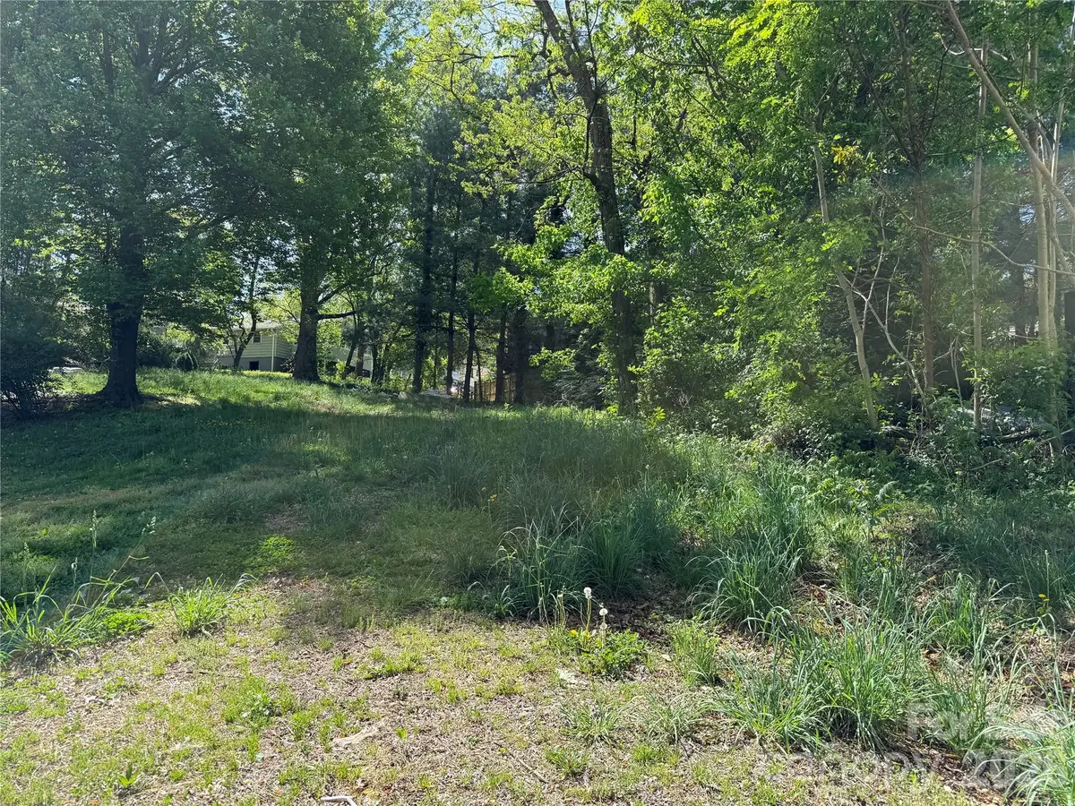 Lot 108 Mace Avenue, Asheville, NC 28806 - #1