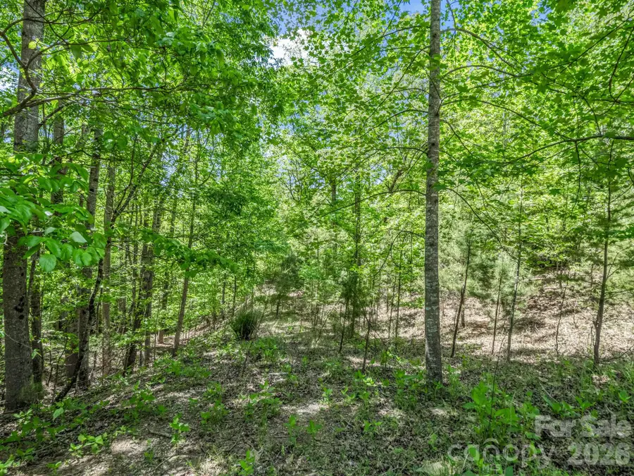 206 Westmoreland Trail #8, Tryon, NC 28782 - #3
