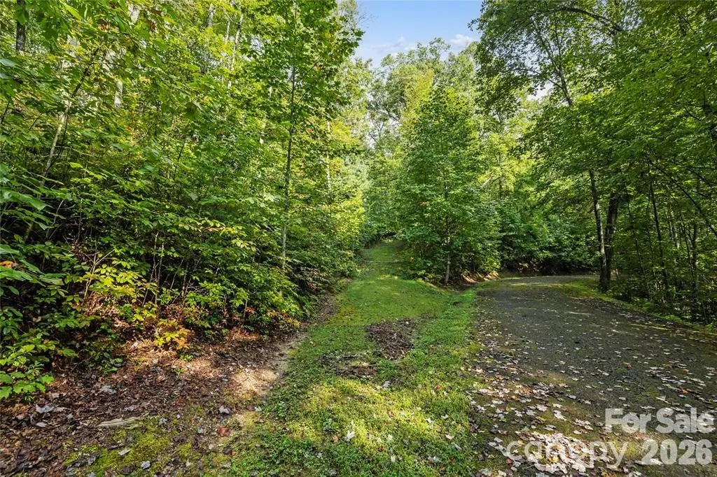 TBD Barts Branch Drive #13, Balsam Grove, NC 28708 - #1