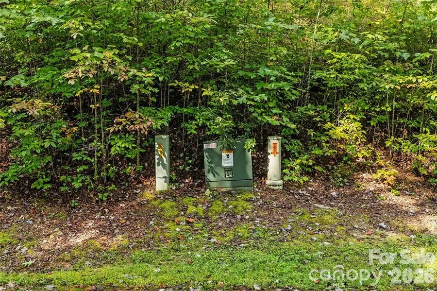 TBD Barts Branch Drive #13, Balsam Grove, NC 28708 - #3