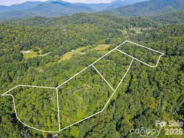 TBD Barts Branch Drive #15, Balsam Grove, NC 28708