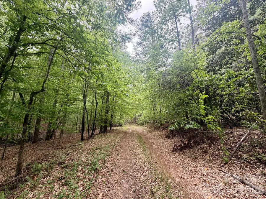 0 Polk County Line Road, Rutherfordton, NC 28139 - #2