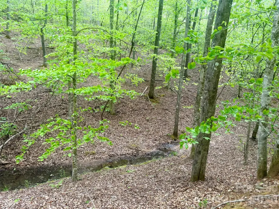 0 Polk County Line Road, Rutherfordton, NC 28139 - #3