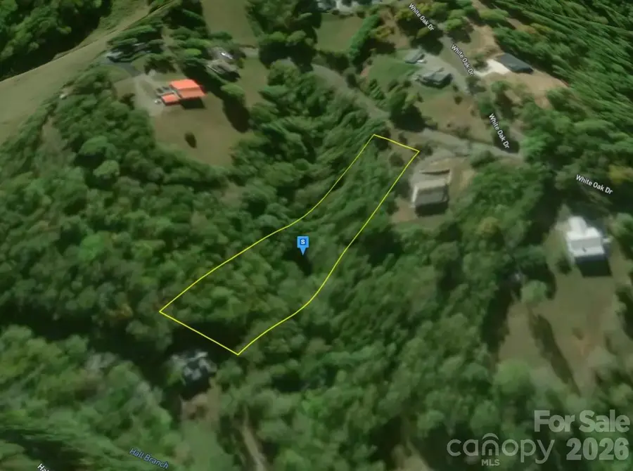 41 Knoll Lane, Warne, NC 28909 - #2