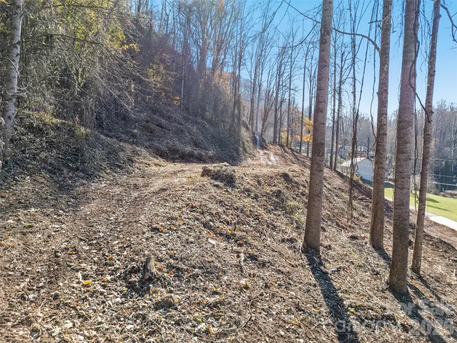 Tract 2: Lot 3 Fisher Creek Road, Sylva, NC 28779 - #3