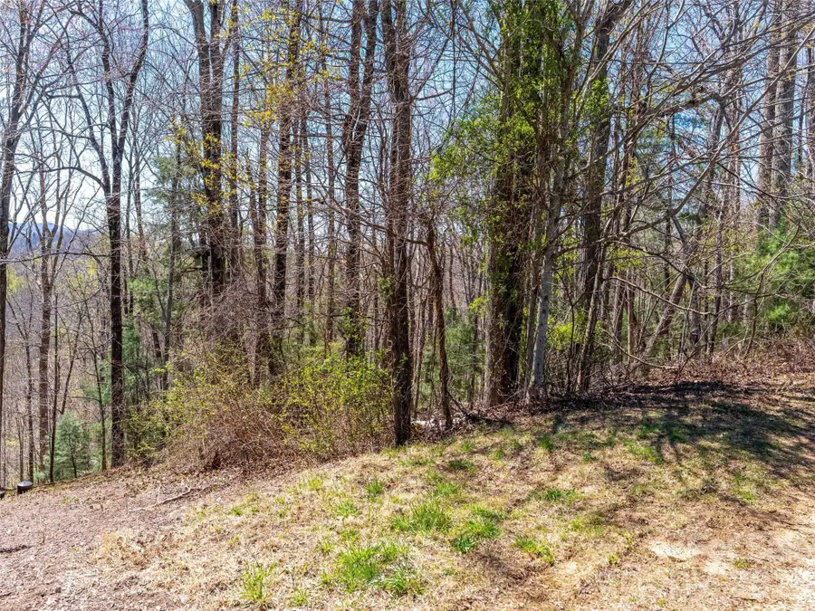 000 Glen Echo Circle, Saluda, NC 28773 - #2