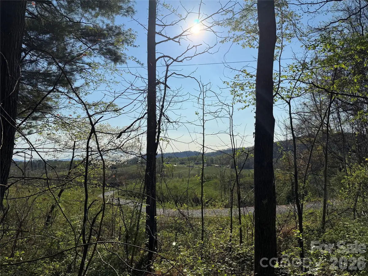 000 Woodlyn Etch Drive, Hendersonville, NC 28792 - #1