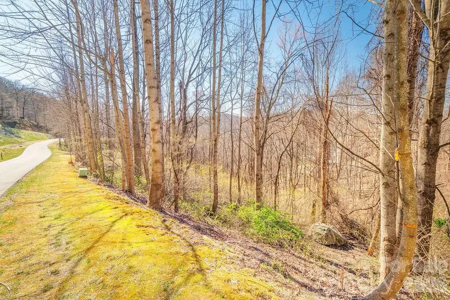 461 Somersby Parkway, Hendersonville, NC 28739 - #3