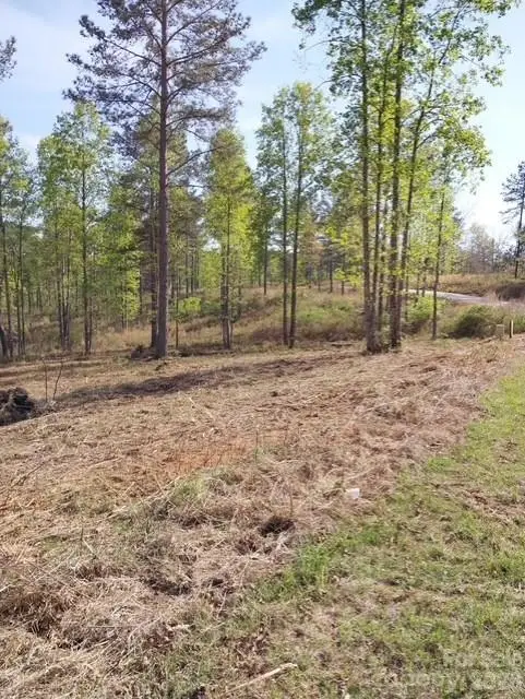 2158 Jumping Run #31, Connelly Springs, NC 28612 - #2