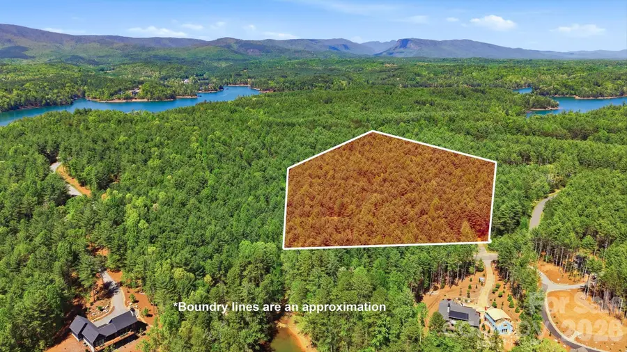 146 Bream Flats Drive #40, Nebo, NC 28761 - #3