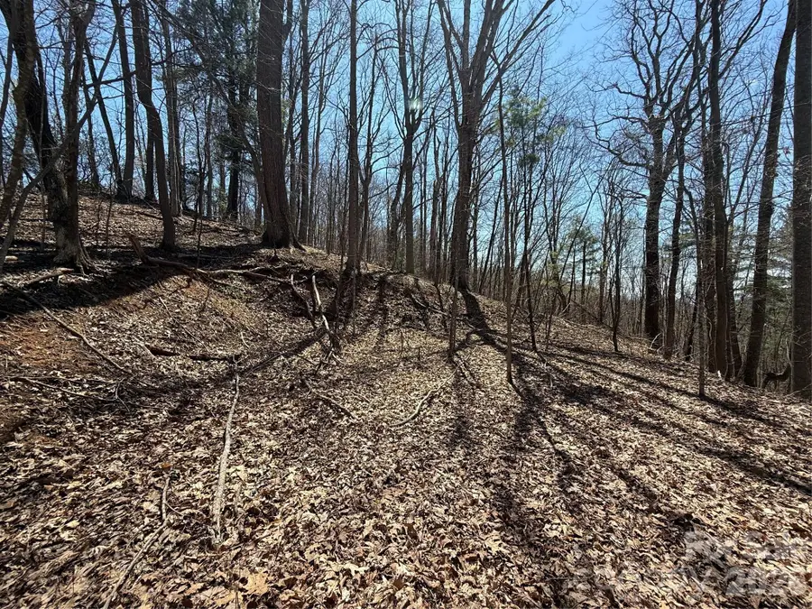 000 Granny Shepherd Road #Lot 2, Mars Hill, NC 28754 - #3