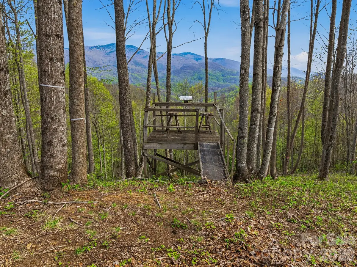 #227 Flying Dutchman Road, Sylva, NC 28779 - #1