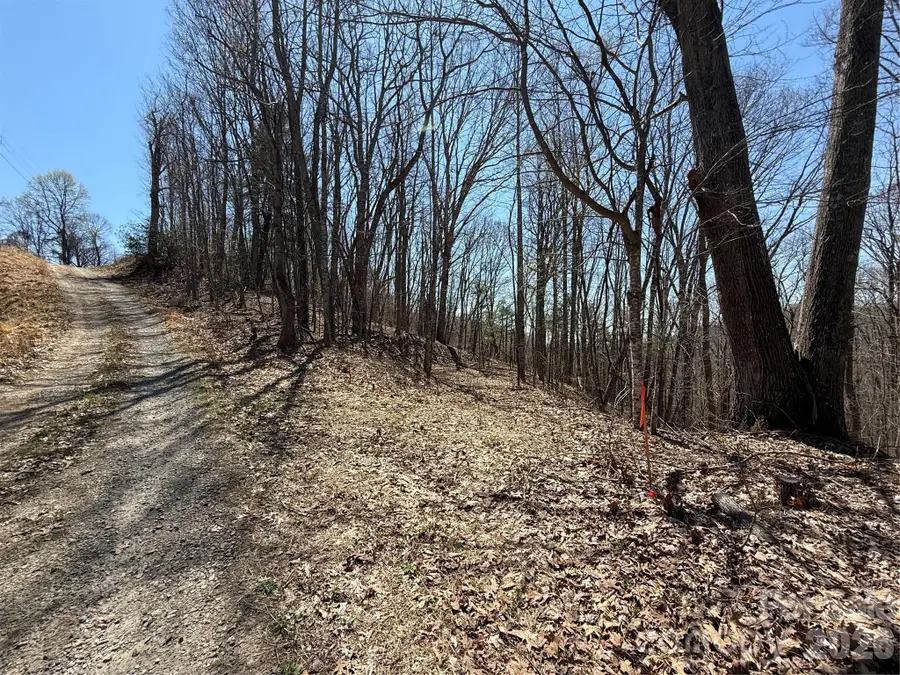 000 Granny Shepherd Road #Lot 3, Mars Hill, NC 28754 - #3
