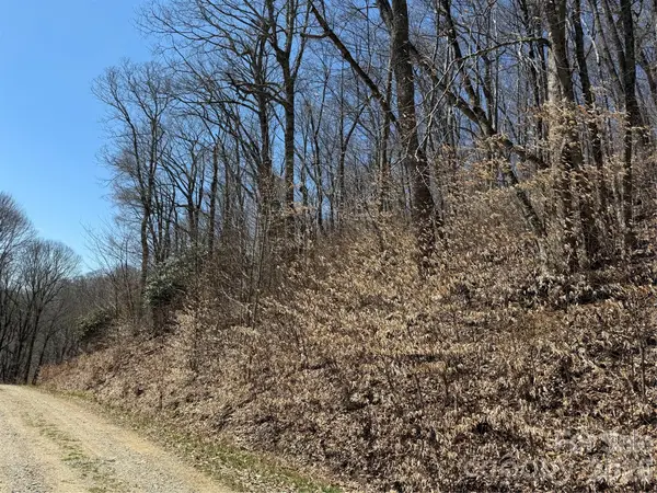 000 Granny Shepherd Road #lot 4, Mars Hill, NC 28754