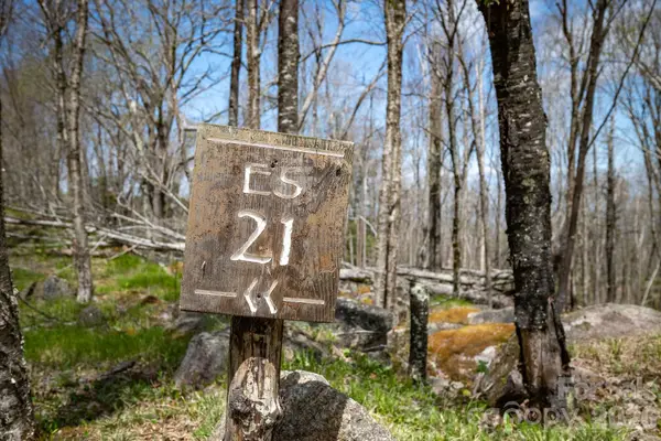 ES-21 Eagle Springs Trail, Banner Elk, NC 28604