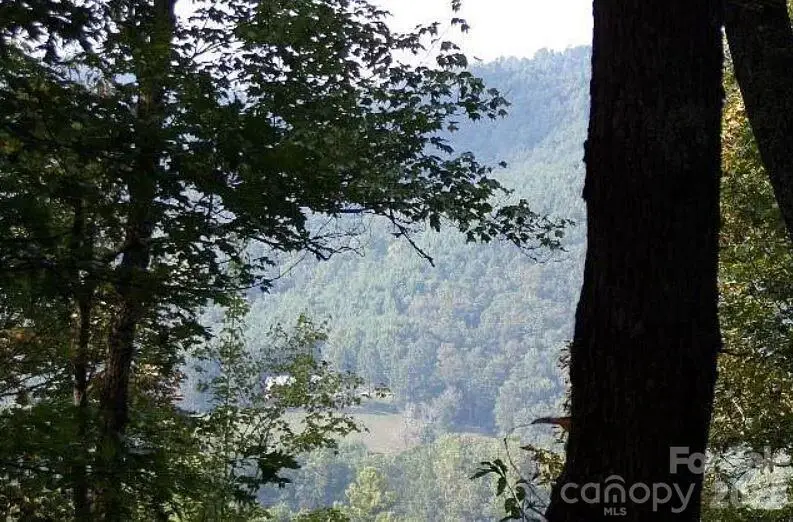 100 Black Bear Ridge Trail, Zirconia, NC 28790 - #1