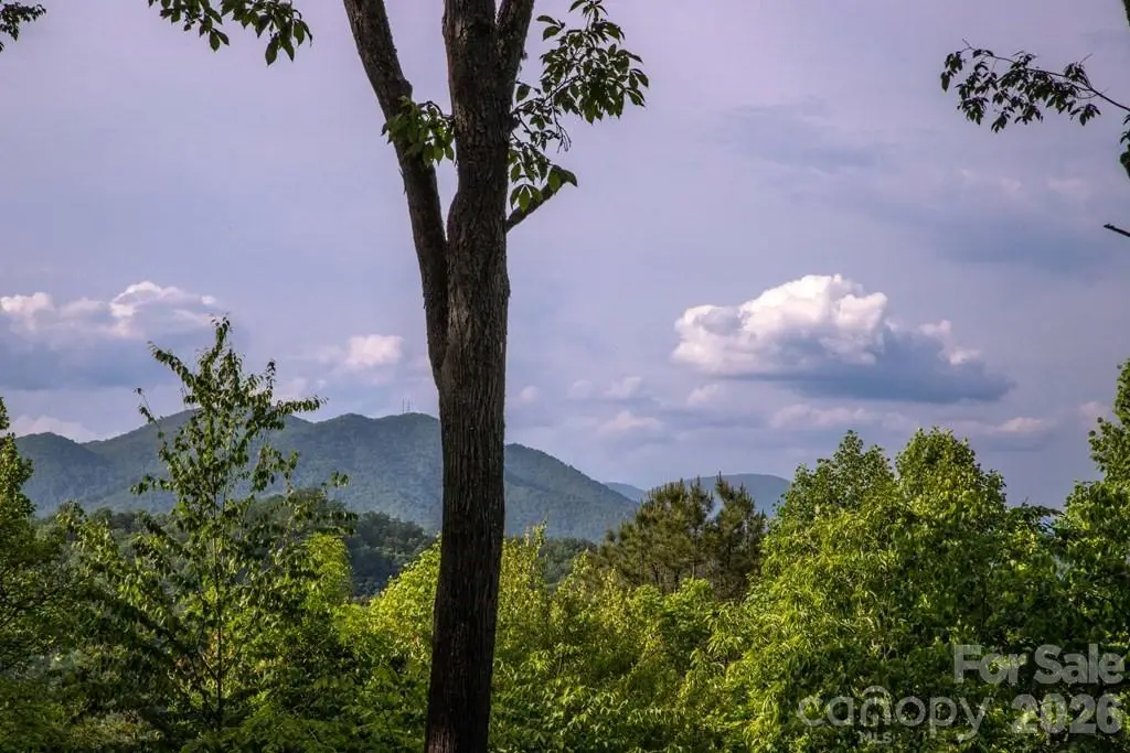 339 Honey Locust Trail #9, Whittier, NC 28789 - #1