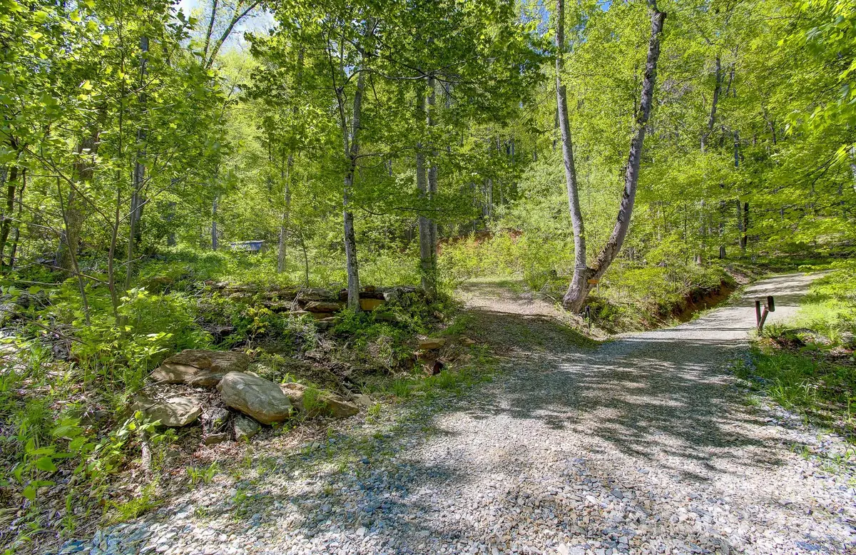 109 & 99999 Apgar Road, Candler, NC 28715 - #1